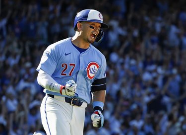 【コレクター必見】鈴木誠也NPBバット 楽天市場】木製バット 鈴木誠也の通販