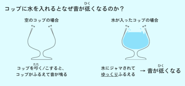 解説編】コップに水を入れるとなぜ音が変わるの？ 楽器や音についての 