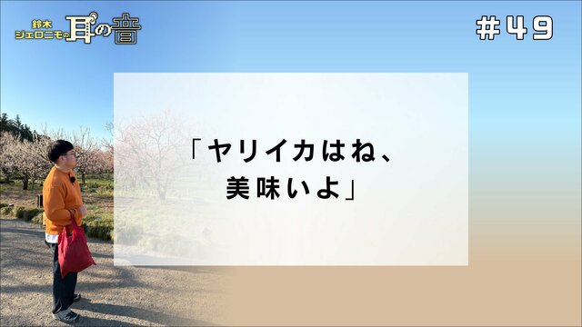 鈴木ジェロニモの「耳の音」#49「ヤリイカはね、美味いよ」